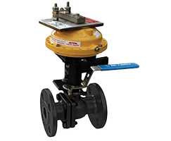 Nayagi-product-image